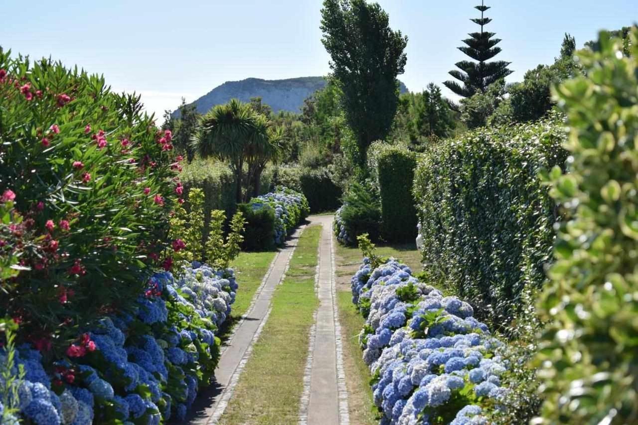 Quinta Da Meia Eira Castelo Branco  Ngoại thất bức ảnh
