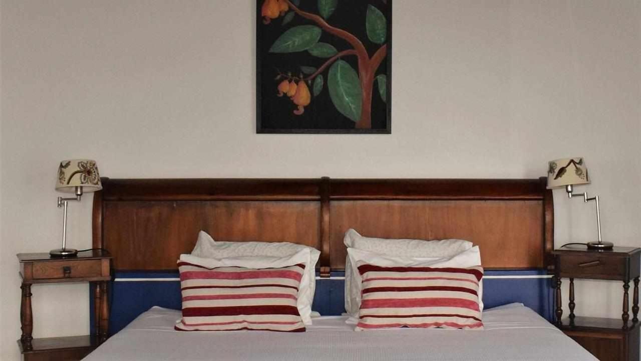 Quinta Da Meia Eira Castelo Branco  Ngoại thất bức ảnh