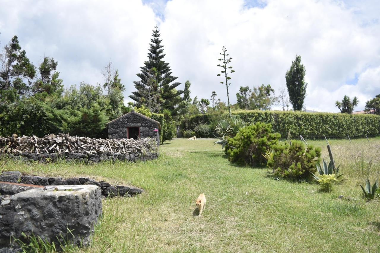 Quinta Da Meia Eira Castelo Branco  Ngoại thất bức ảnh