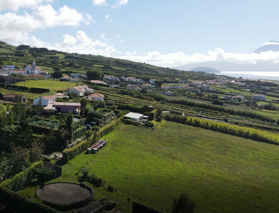 Quinta Da Meia Eira Castelo Branco  Ngoại thất bức ảnh