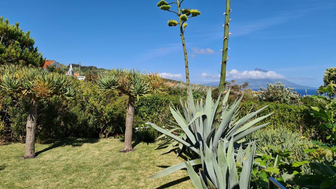 Quinta Da Meia Eira Castelo Branco  Ngoại thất bức ảnh