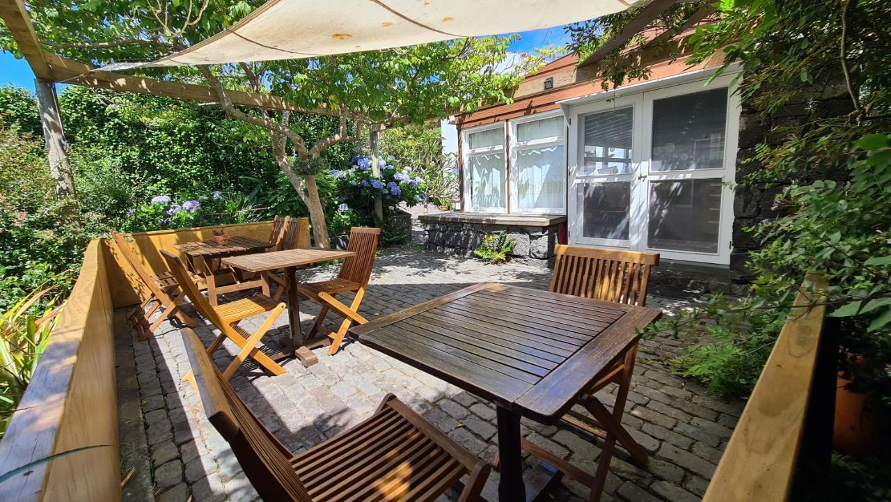 Quinta Da Meia Eira Castelo Branco  Ngoại thất bức ảnh